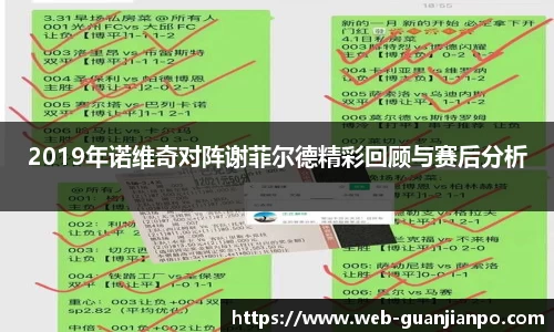 2019年诺维奇对阵谢菲尔德精彩回顾与赛后分析